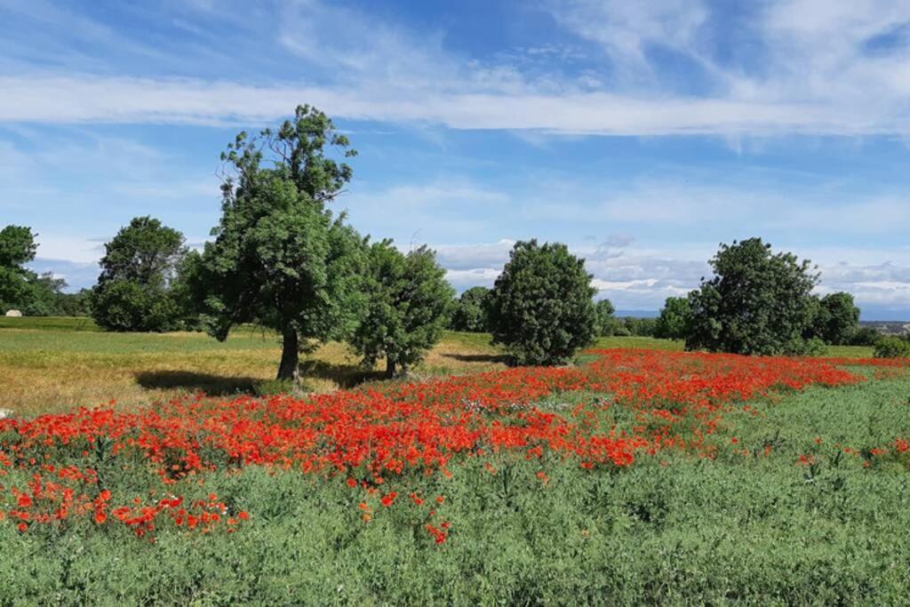 Cal Belló Casa rural Lleida Exterior foto